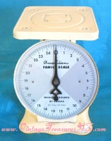 American store family scale